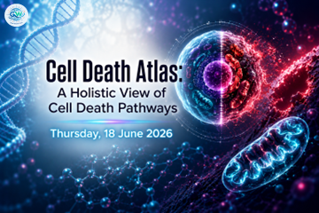 Explore the Molecular Landscape of Programmed Cell Death Pathways from Apoptosis to Ferroptosis, Pyroptosis, and Beyond
